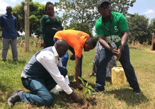 Tree Planting